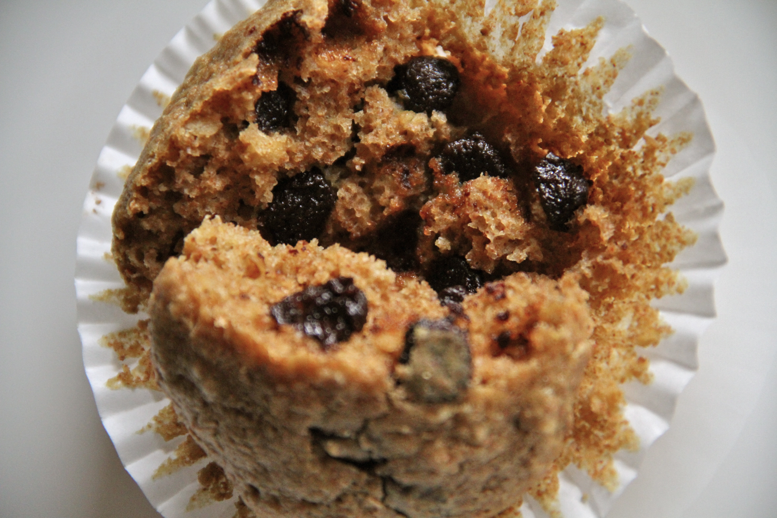 Chocolate Chip Oatmeal Muffin