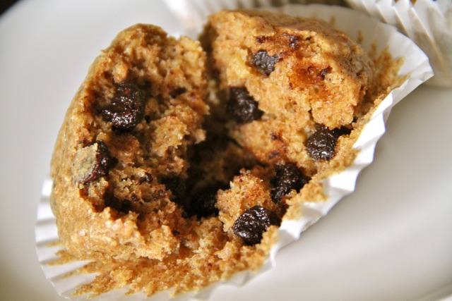 Chocolate Chip Oatmeal Muffin