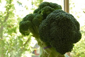 Market Broccoli