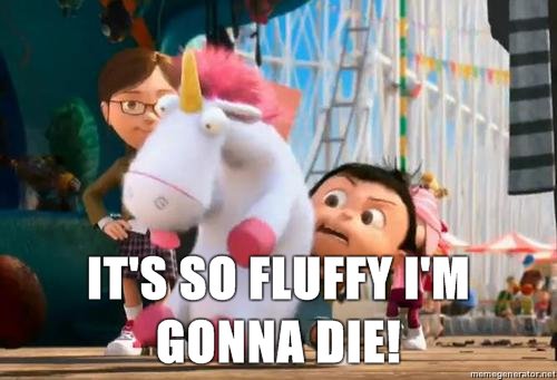 Its So Fluffy