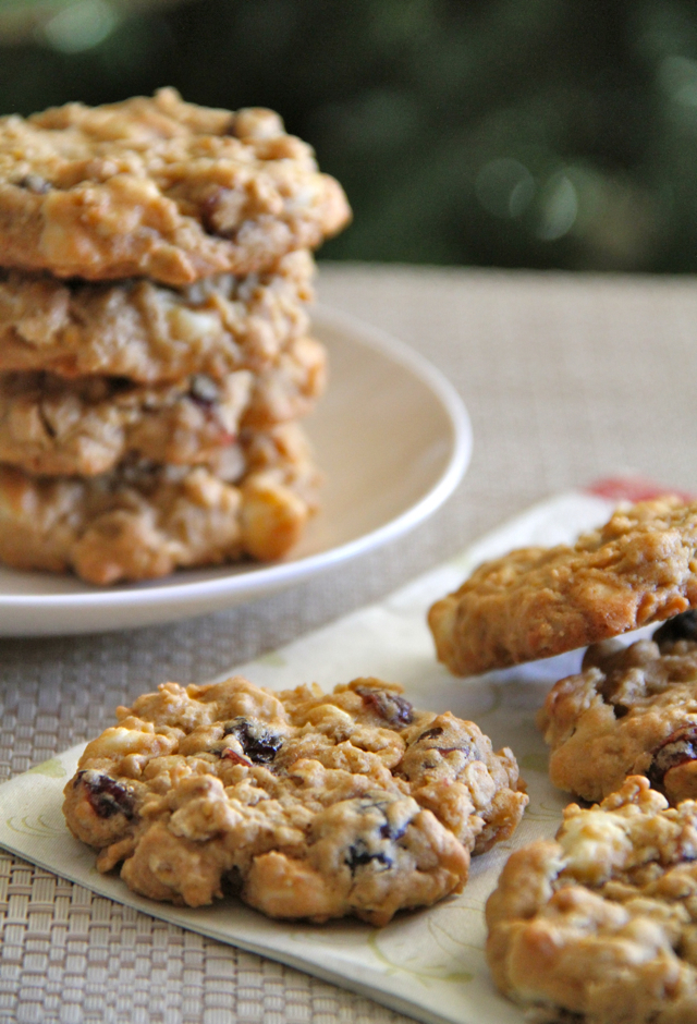 Chocolate Cranberry Oatmeal Cookies