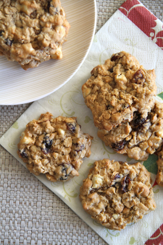Soft Chewy Oatmeal Cranberry Cookies
