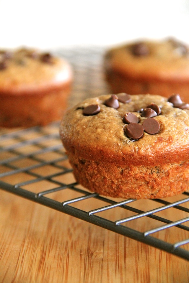flourless apple cinnamon muffins . . running with spoons
