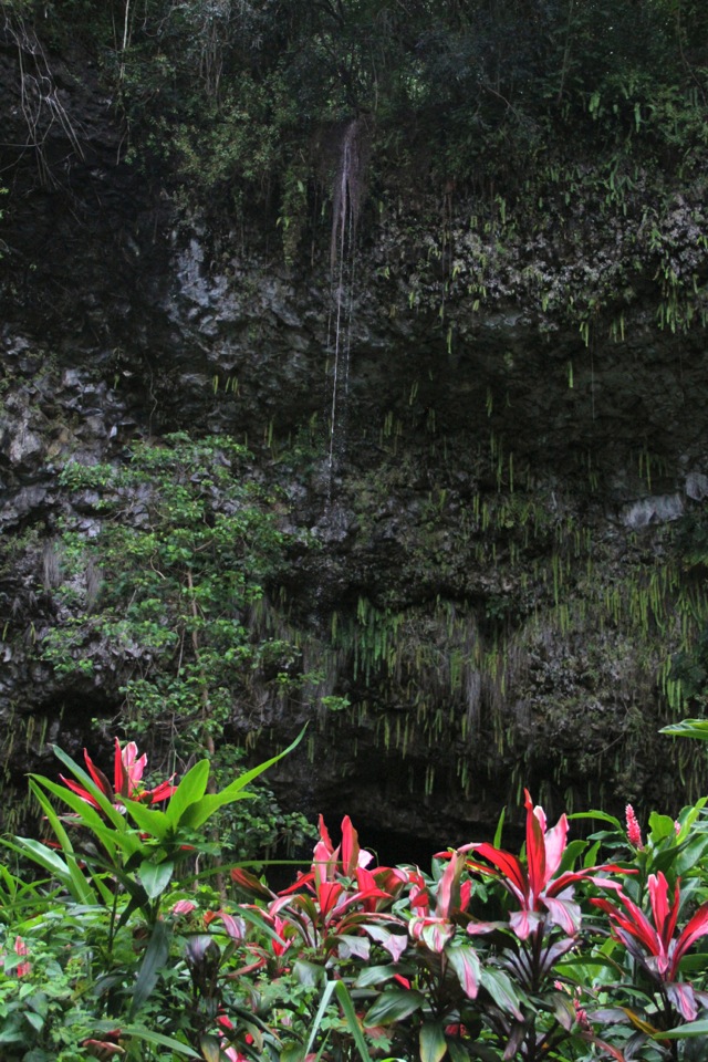 Fern Grotto