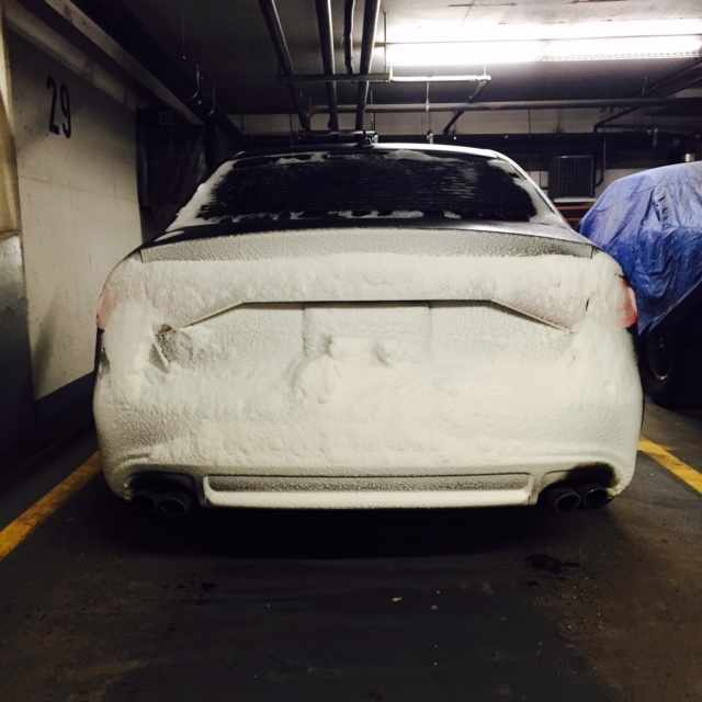 Snowy Car Butt