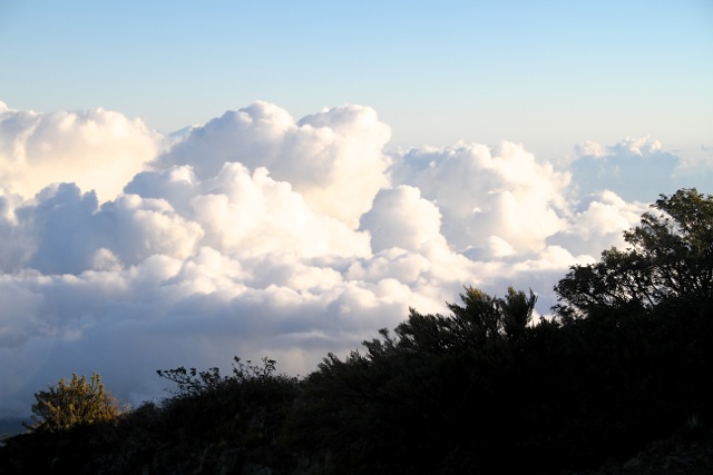 Fluffy Maui Clouds