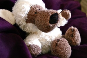 Teddies