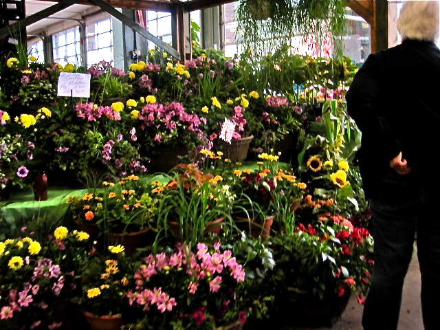 Farmer's Flowers
