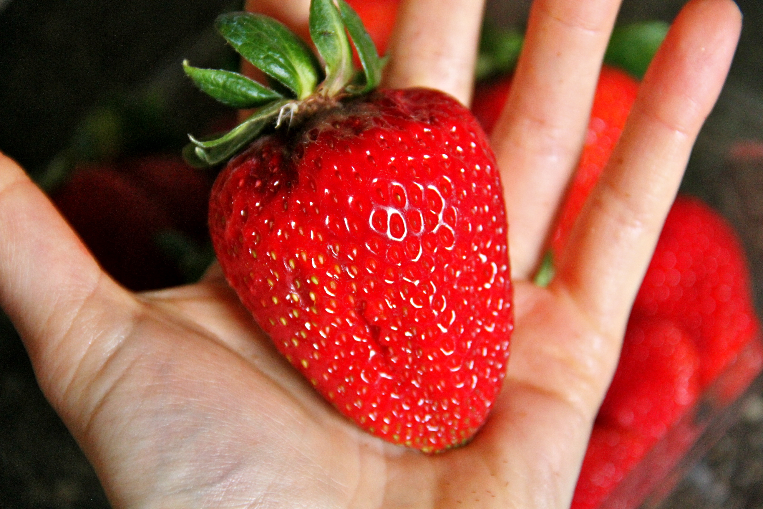 Killer Strawberries