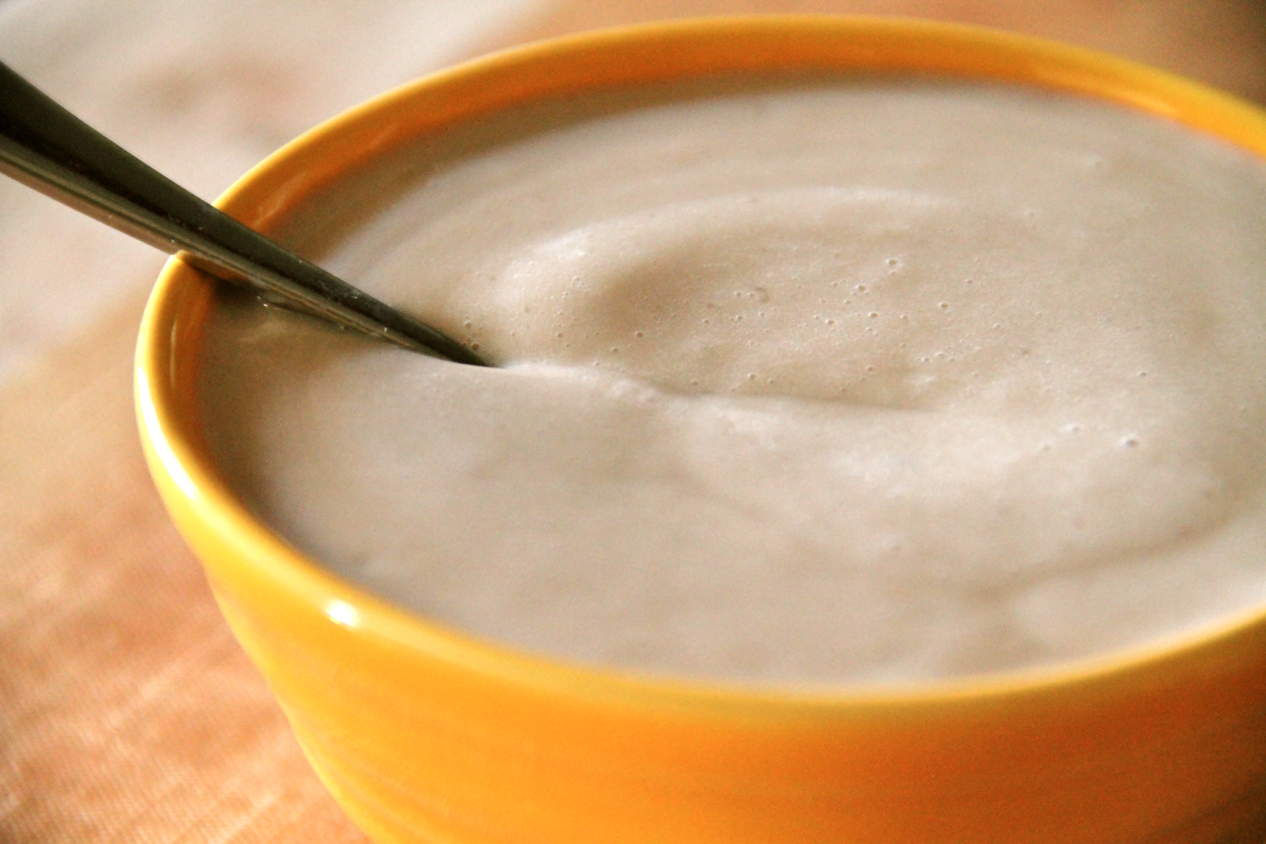 Vanilla Tofu Protein Pudding