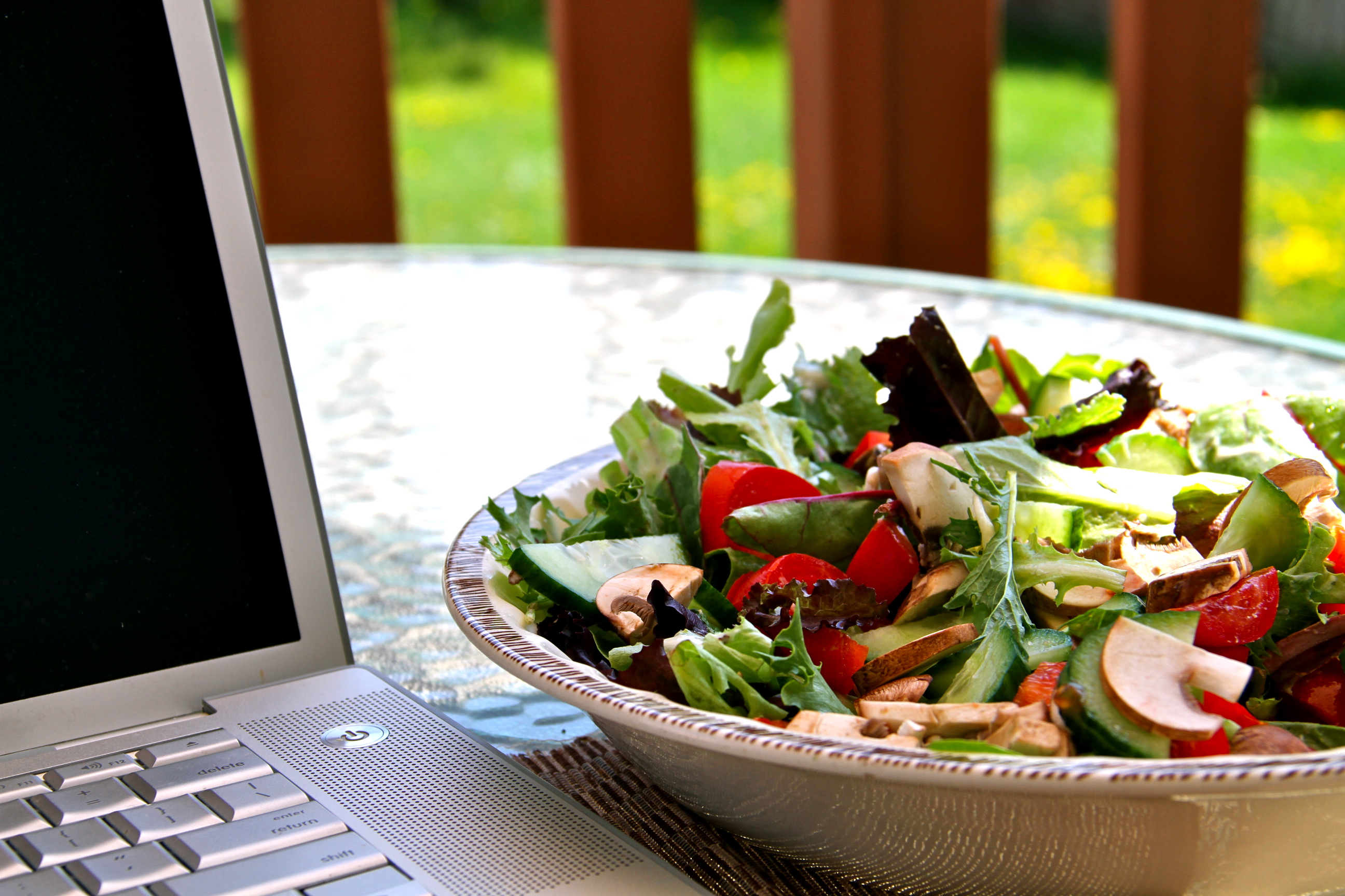 Salad in the Sun
