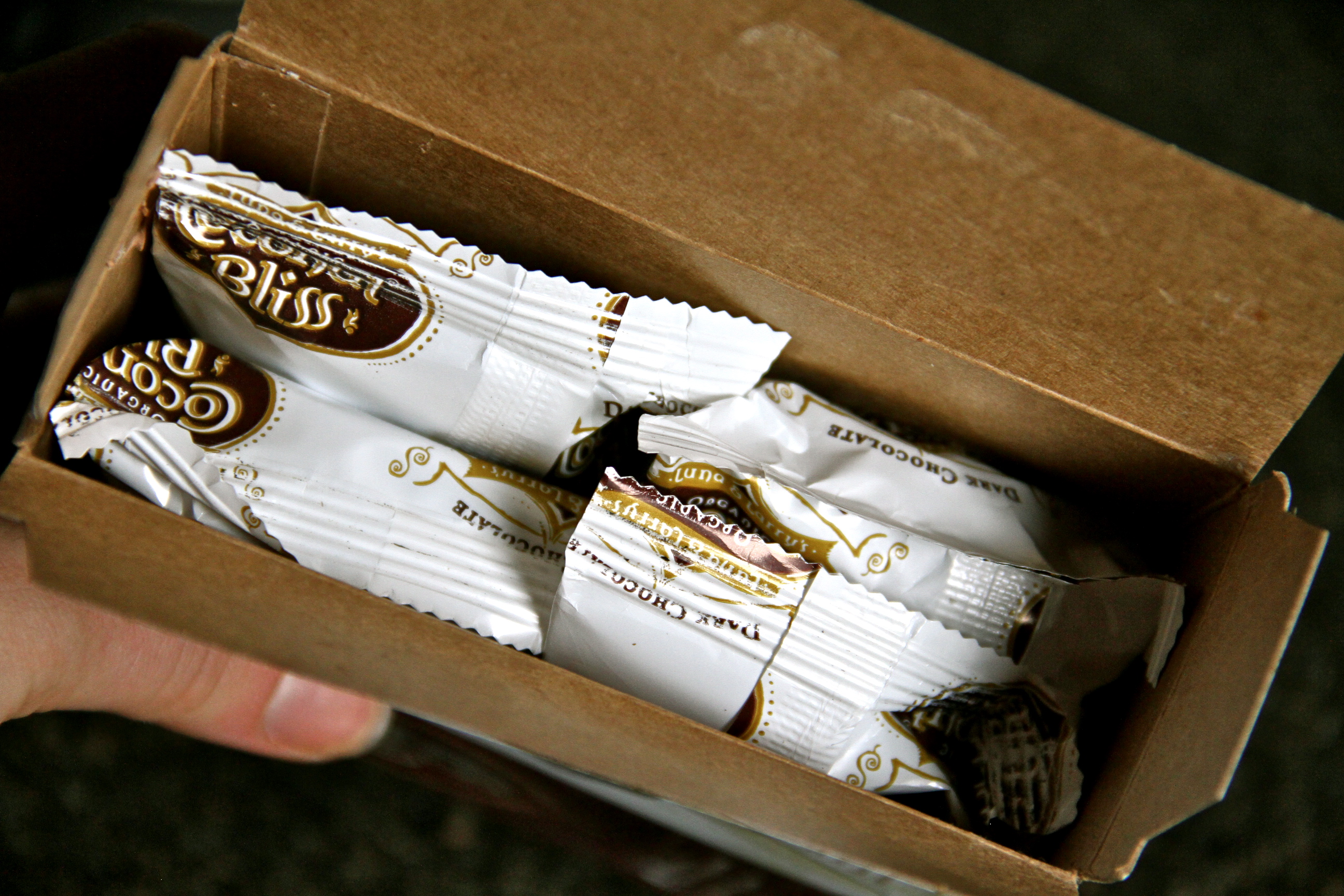 Coconut Bliss Bars