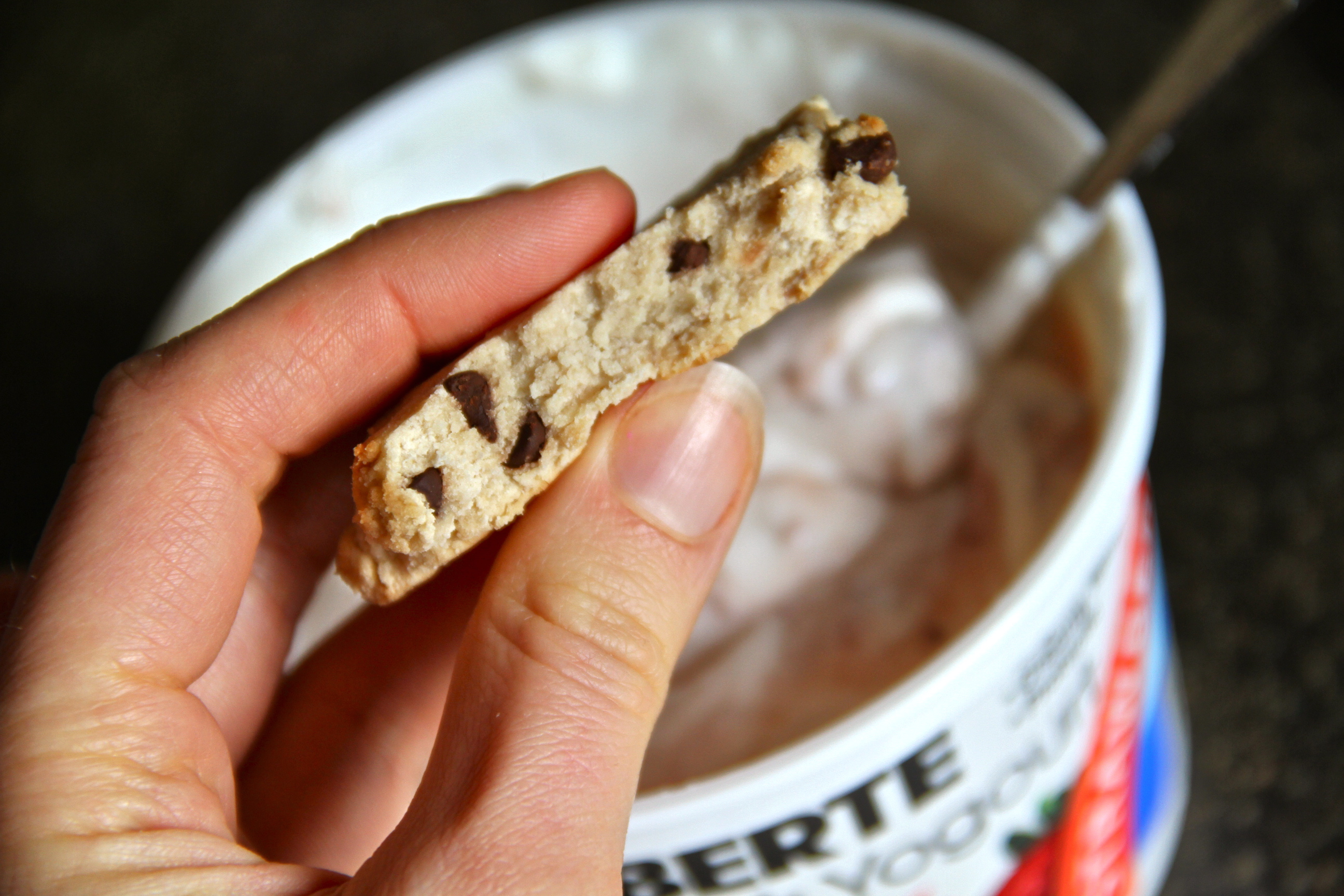 Morning Cookies