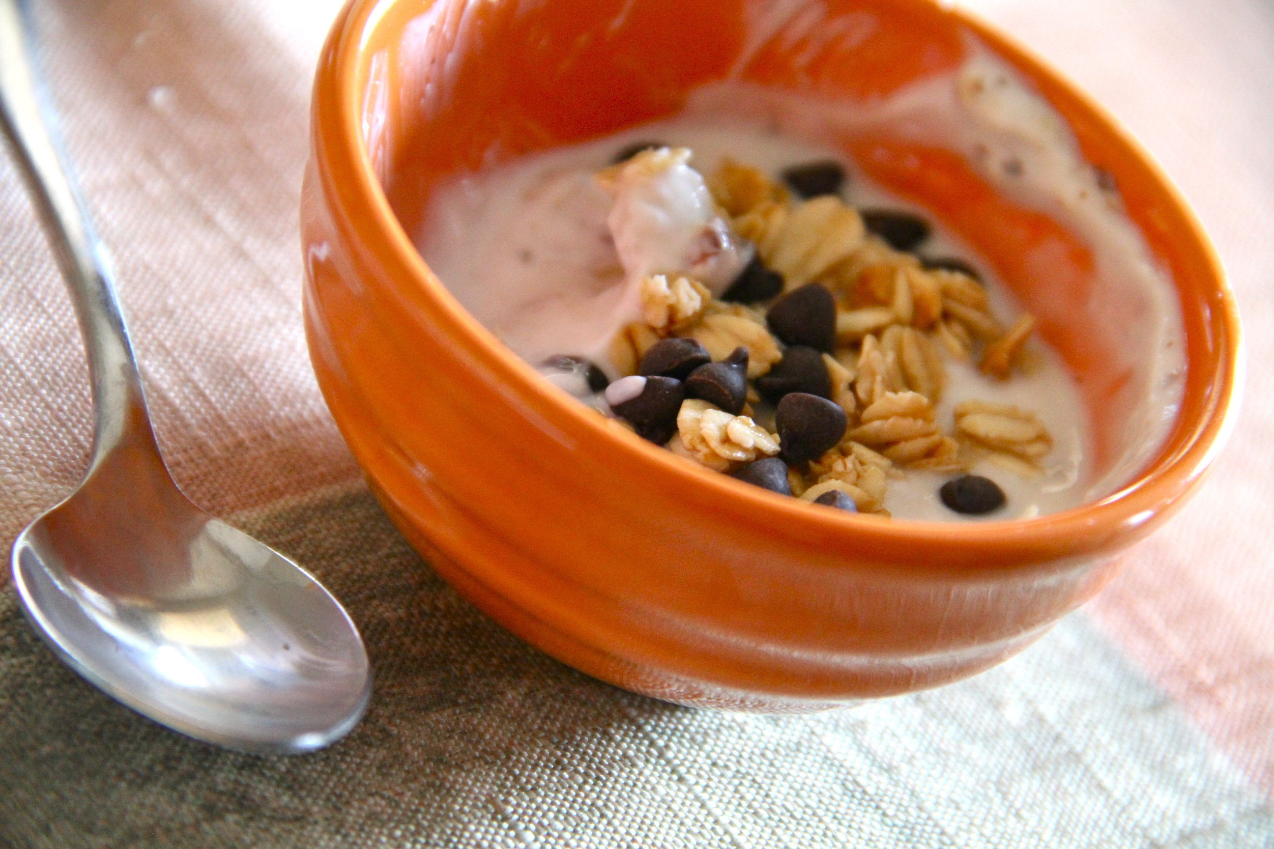Yummy Yogurt Bowl