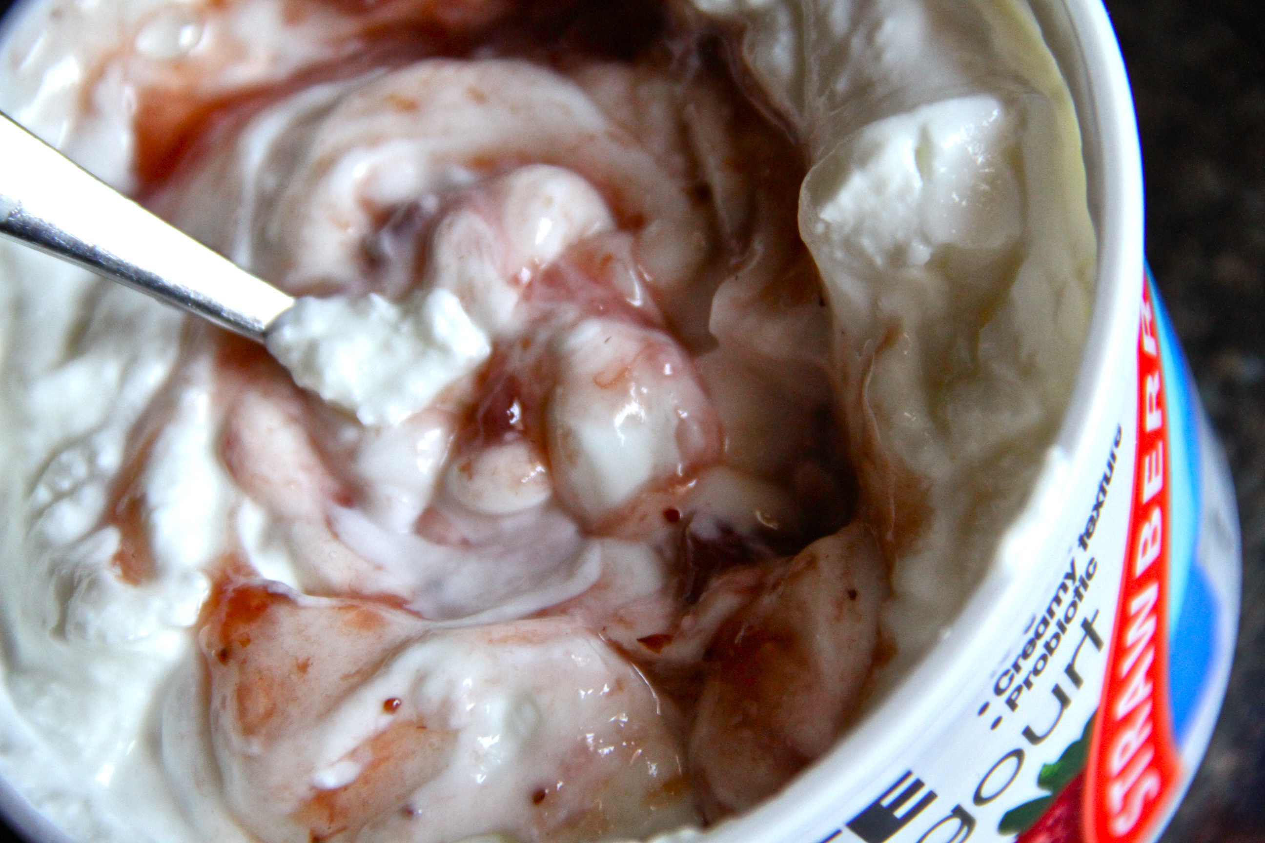 Non-moldy yogurt