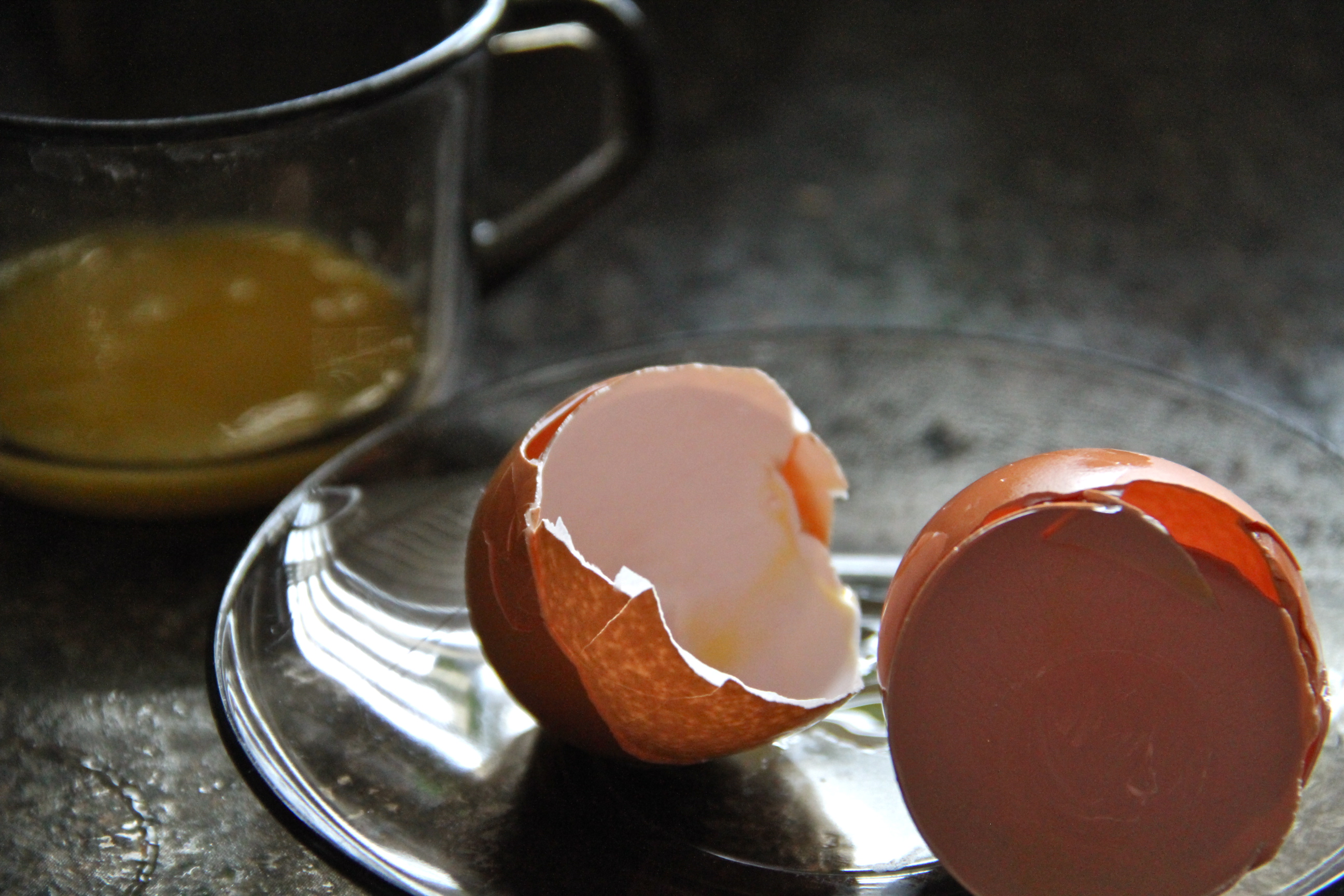 Egg Shells