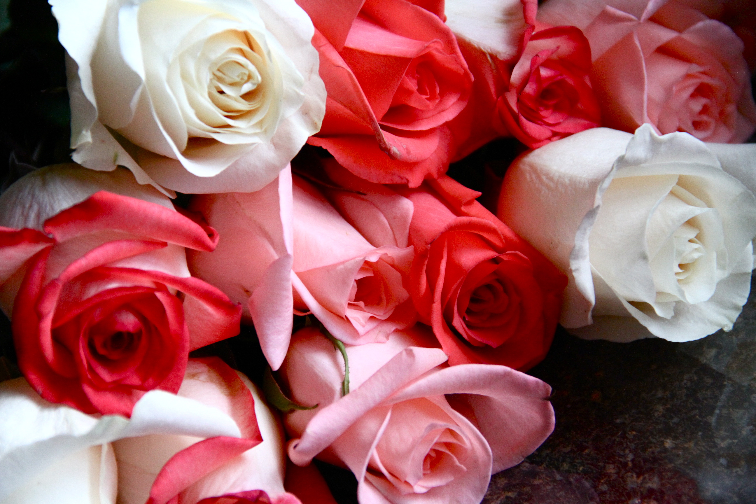 Fresh Flowers
