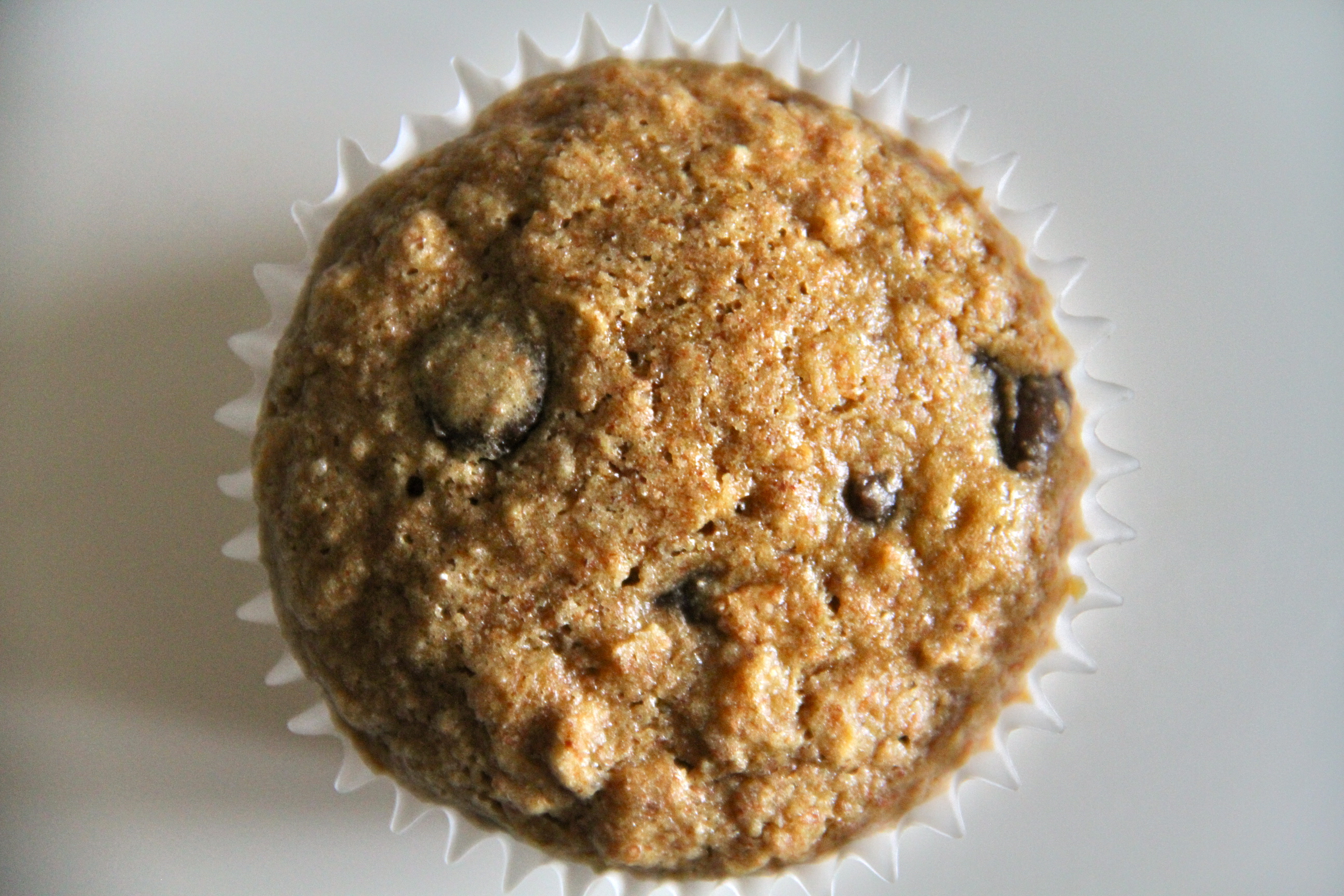 Chocolate Chip Oatmeal Muffin