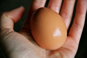 Baking With Eggs