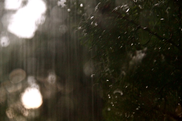 Raindrops at Night