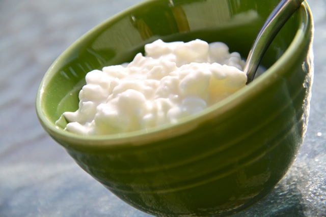 Humble Cottage Cheese