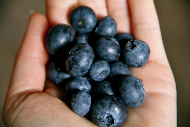 Caught Blueberry Handed