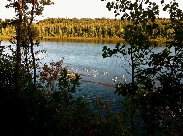 By The River