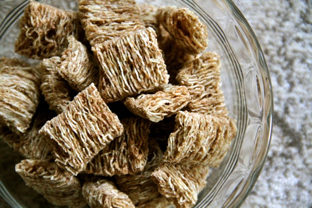 Cinnamon Harvest