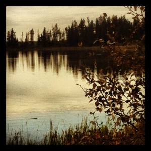 At the Lake