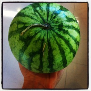 Mini Melon