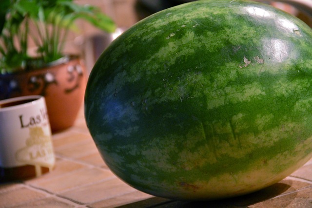 Watermelon Delivery