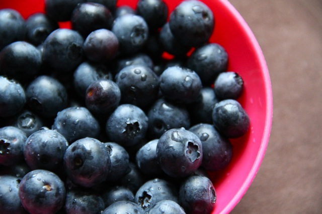 Fresh Blueberries