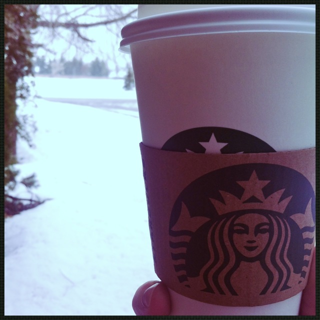 Snowy Day Bux