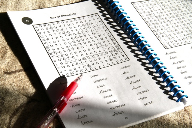 Word Search Puzzle