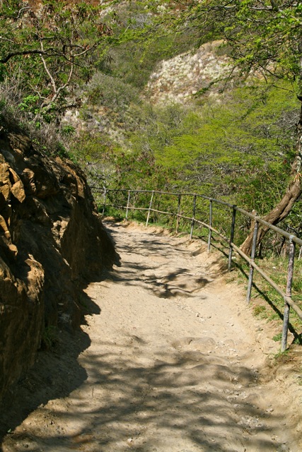 Diamond Head Trail