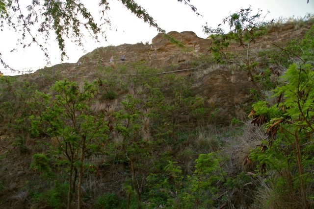 Looking Up at Hikers