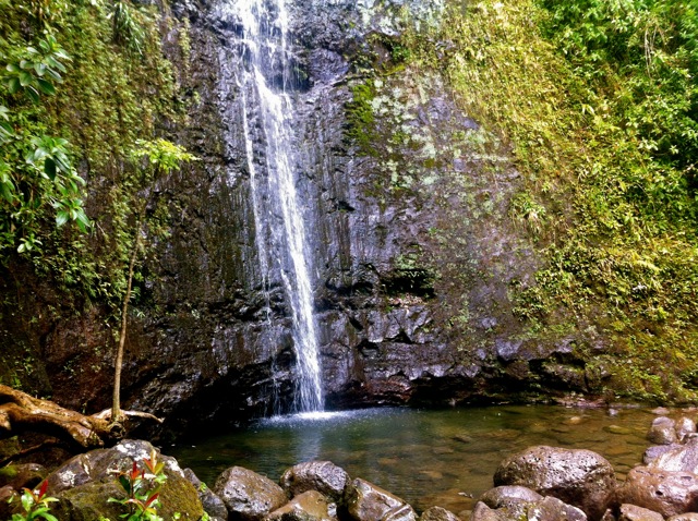 Manoa Falls Pool