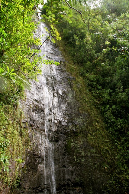 Manoa Falls