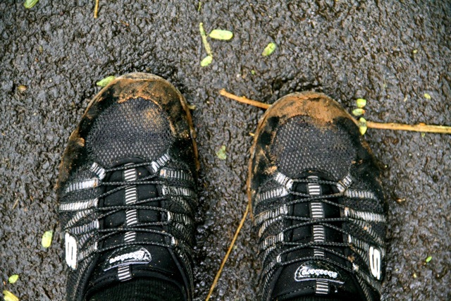 Muddy Shoes