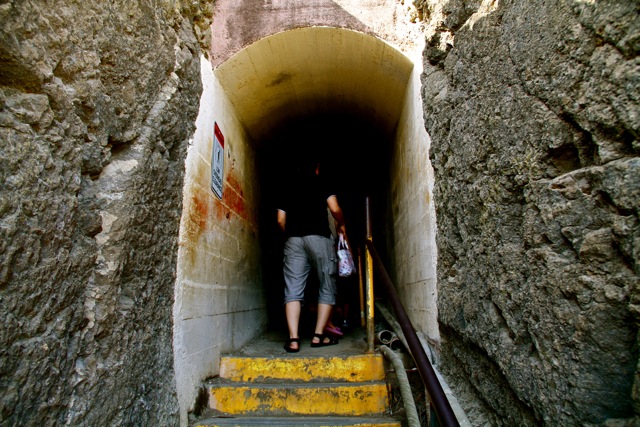 Trail Tunnel