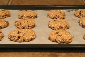 Cookies out of the Oven