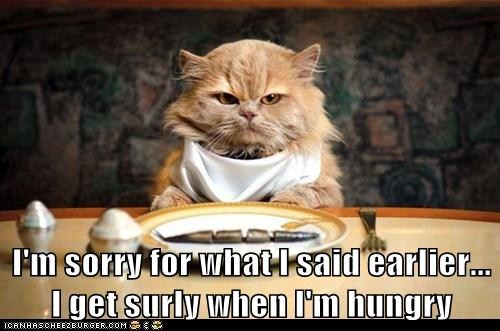 Hungry Sorry