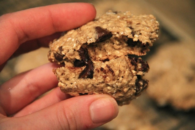 Melty Chocolate Chip Cookie