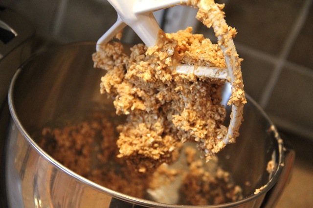 Oatmeal Cookie Batter