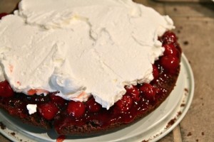 Whip Cream Layer