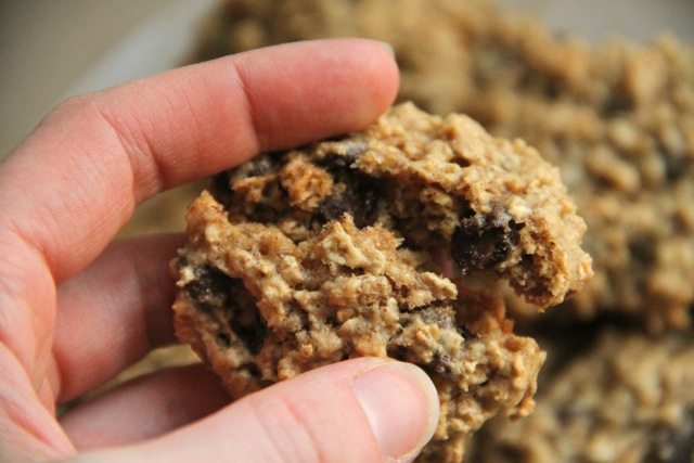 Chocolate Chip Oatmeal Cookies