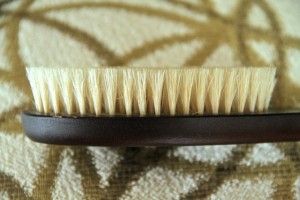 Dry Brushing