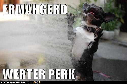 Ermahgerd2