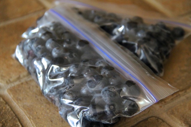 Packed Blueberries