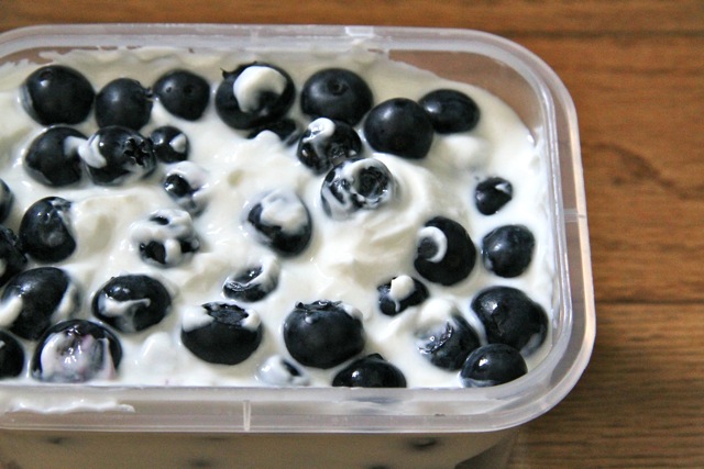 Yogurt and Blueberries